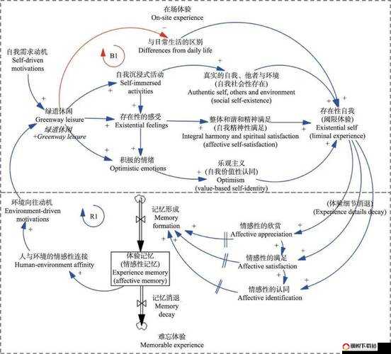 呈现千人千色 t9t9t9 的推荐机制：带你领略独特魅力与精彩体验